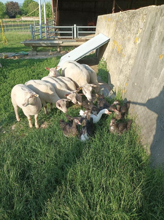 A La Ferme Ferienhaus