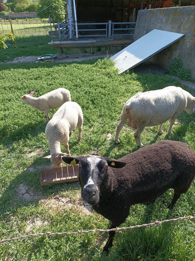A La Ferme Ferienhaus Viserny